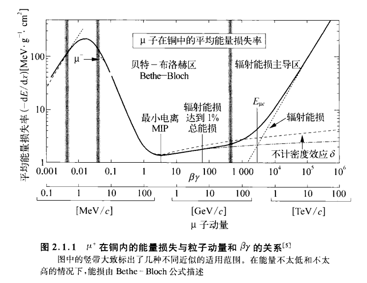 image-20250305125450955