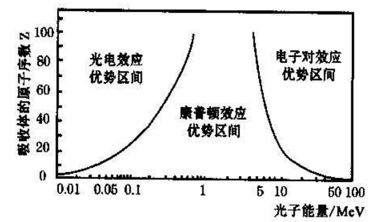 image-20250313091723909