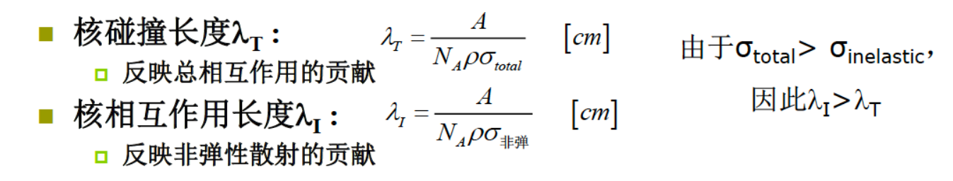 image-20250313101437202