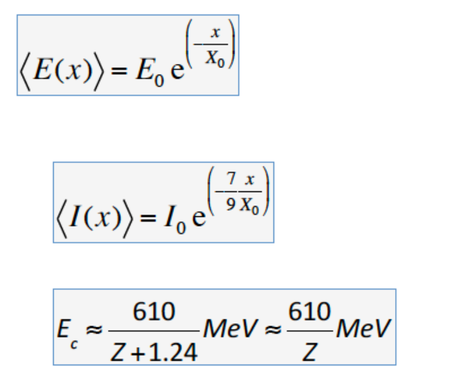 image-20250313145153829