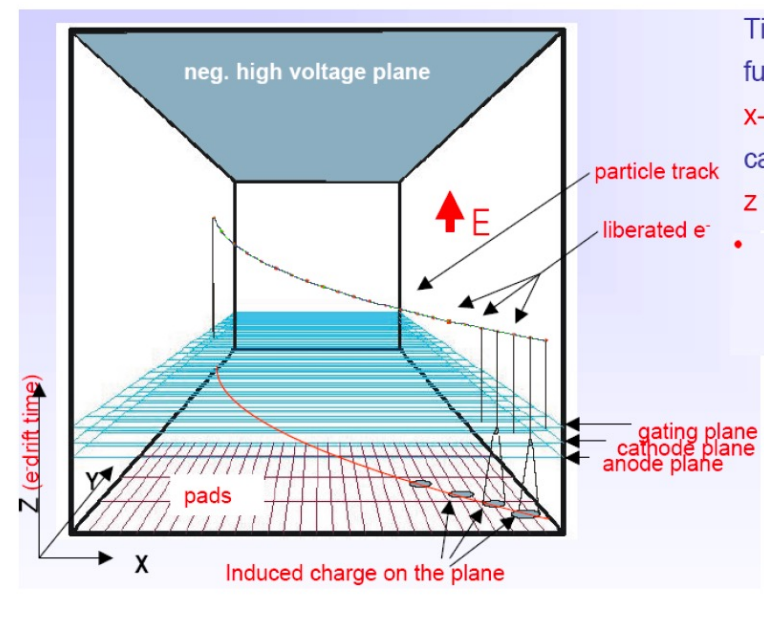 image-20250401141138289